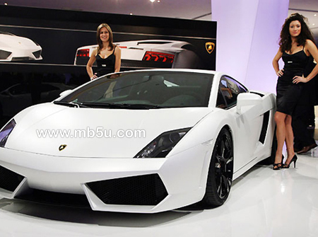 2008�����߹��ʳ�չ���ֳ����������