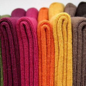 ģ������