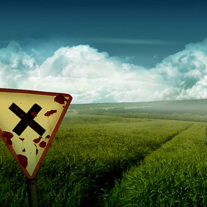 ģ������