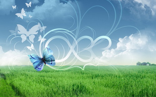 美丽的自然风景