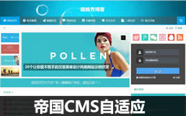 Wordpress�Ա��ͳ���(�Խ��-ǿ���Զ��ɼ����� �����������Ա�����վ)