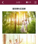 案例详情页(wap)