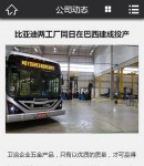 手机新闻内容页