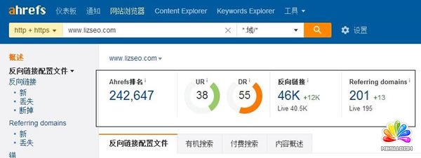 SEOɻȽʲôǸȨ SEOƹ 4