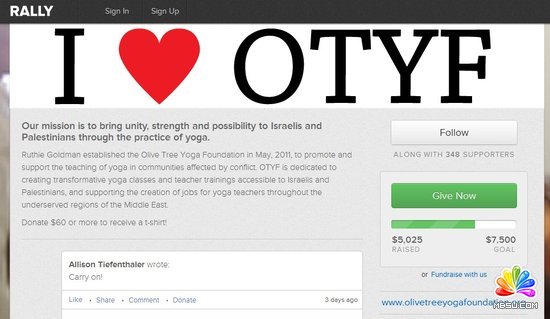 ļƽ̨Rally.org790Ԫ