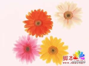 ASPAspJpeg(ˮӡ)ʹ÷ȫ - ͷ - ^ĵرP