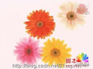 ASPAspJpeg(ˮӡ)ʹ÷ȫ - ͷ - ^ĵرP