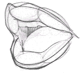 Flash̳̣ͨͺͻƷ,PS̳,˼Ե̳