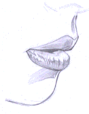 Flash̳̣ͨͺͻƷ,PS̳,˼Ե̳