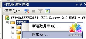SQL 2005 ־ķ