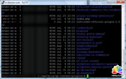 WordPress博客程序常见错误的解决方法
